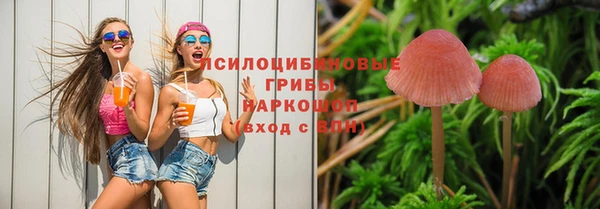 соль ск Алзамай