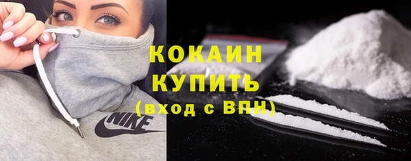 стаф Протвино